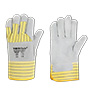 Hazard Protection Suits and Storage Equipment